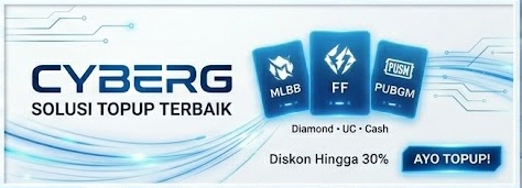 Cyberg Banner 4